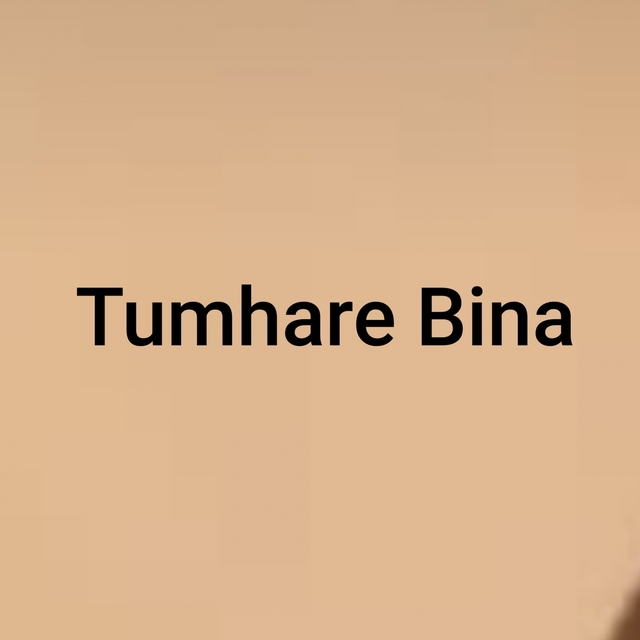 Couverture de Tumhare Bina