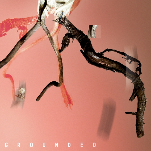 Couverture de Grounded