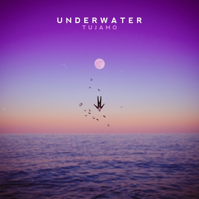 Couverture de Underwater