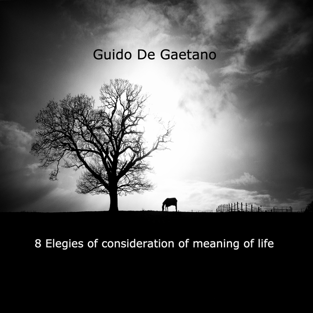 Couverture de Elegies of consideration of the meaning of life