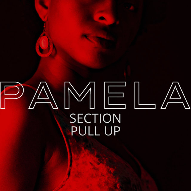 Couverture de Pamela