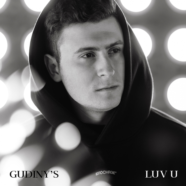 Couverture de Luv U