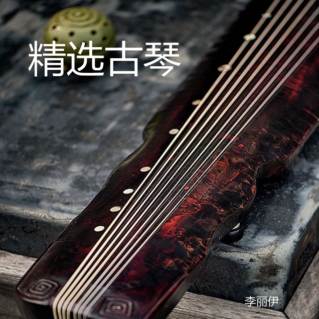 Couverture de 精选古琴