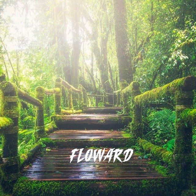 Couverture de Floward