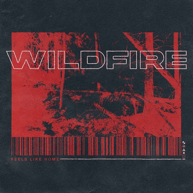 Couverture de Wildfire