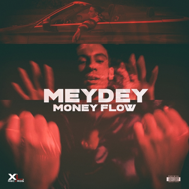 Couverture de Money Flow