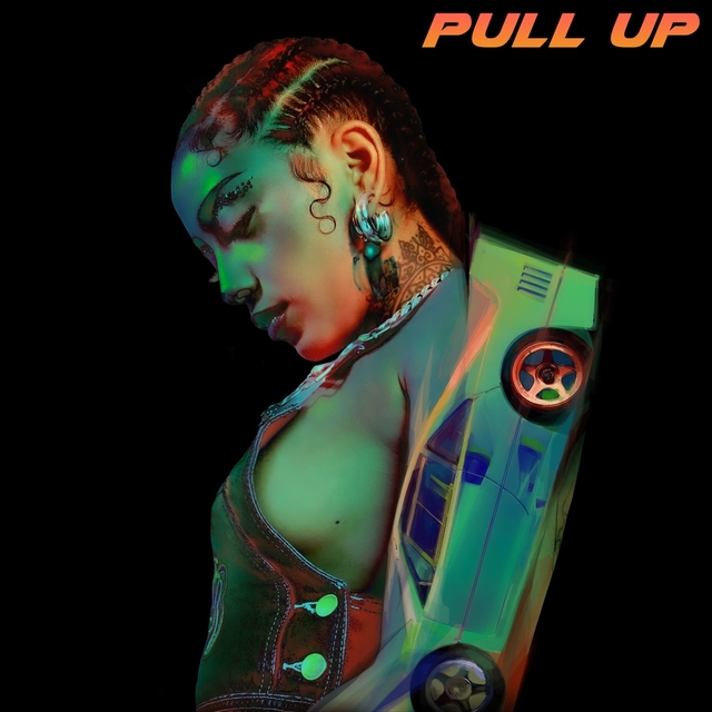 Couverture de Pull Up