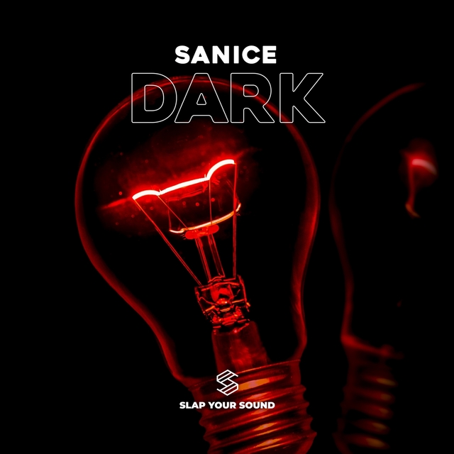 Couverture de Dark