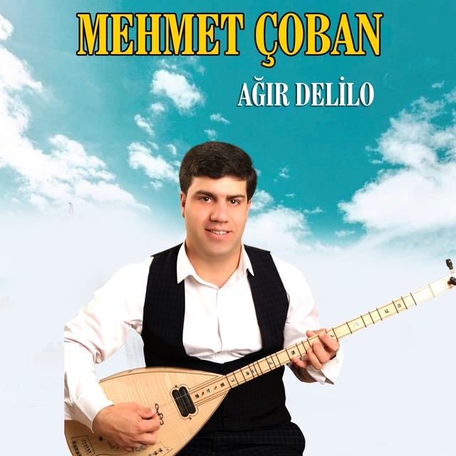 Couverture de Ağır Delilo