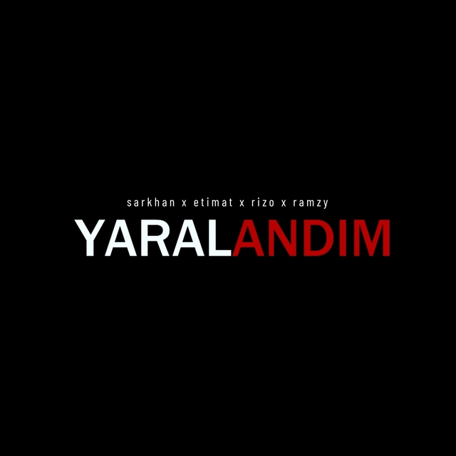 Couverture de Yaralandım