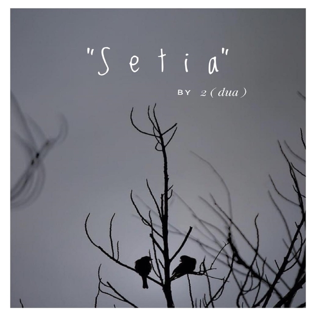 Setia