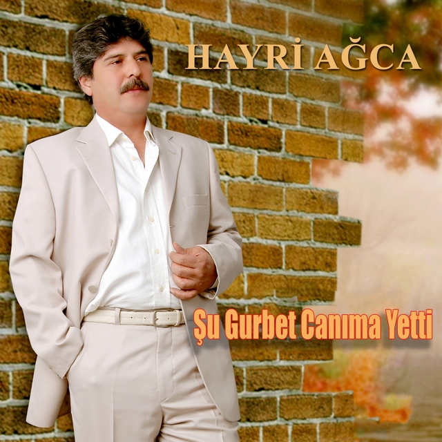 Couverture de Şu Gurbet Canıma Yetti