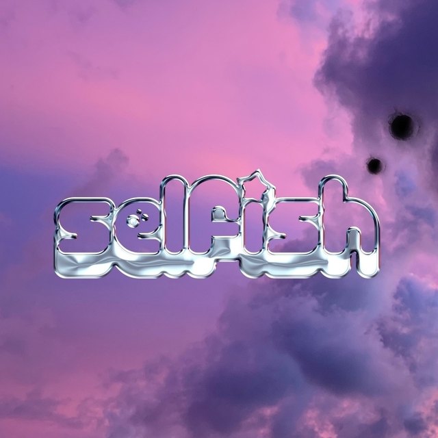 Couverture de Selfish