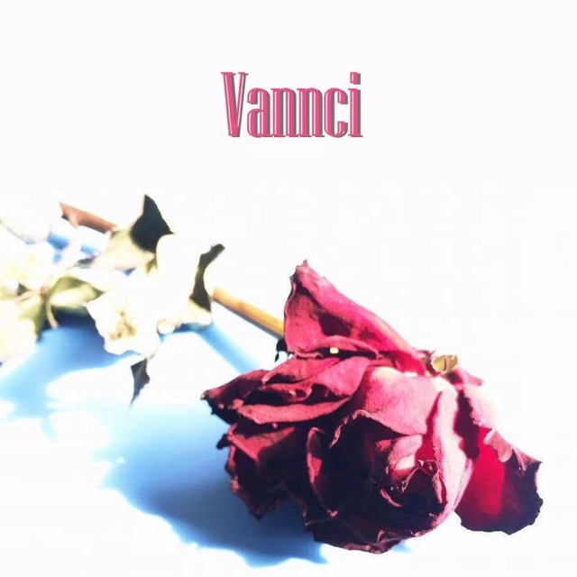 Couverture de Vancci