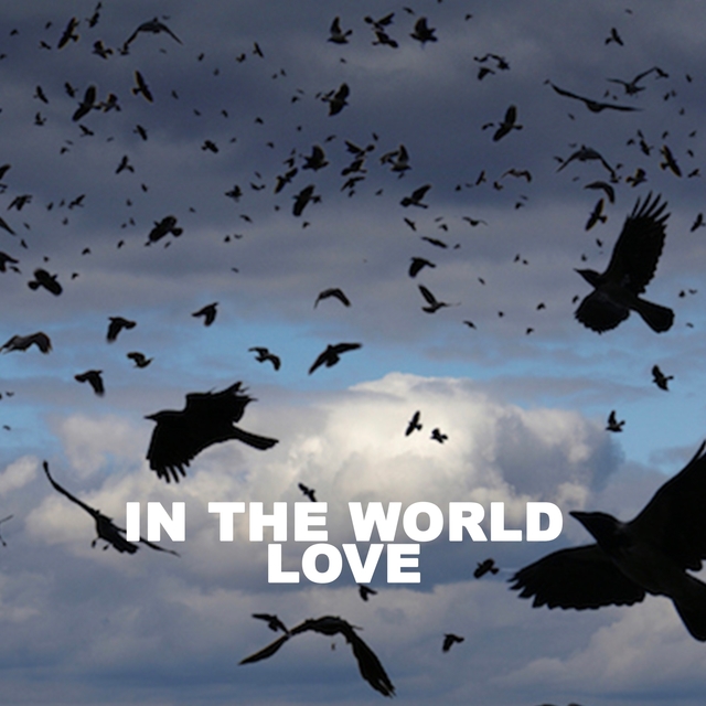 In the World Love