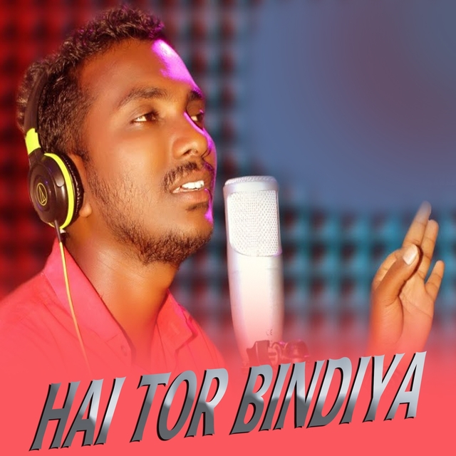 Couverture de Hai Tor Bindiya