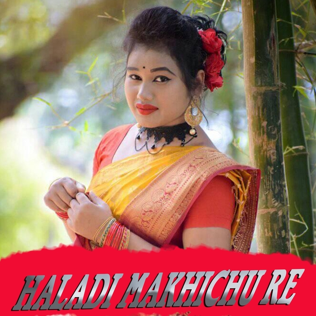 Couverture de Haladi Makhichu Re