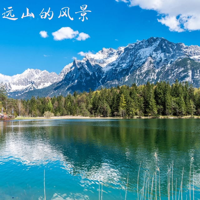 Couverture de 远山的风景