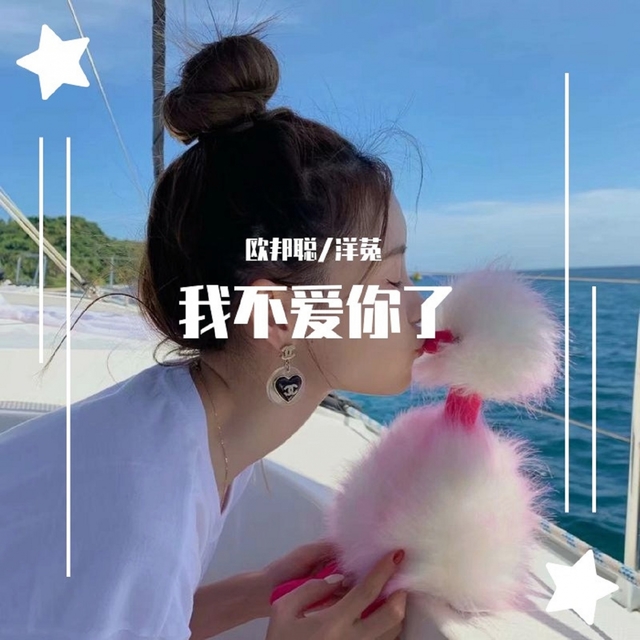 Couverture de 我不爱你了