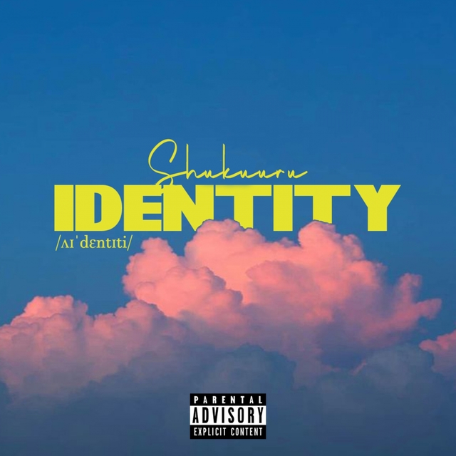 Couverture de Identity