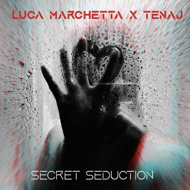 Couverture de Secret Seduction