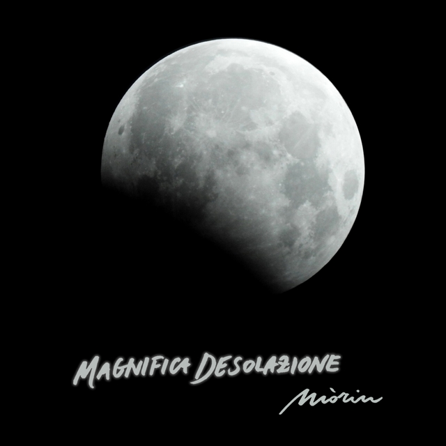 Couverture de Magnifica desolazione