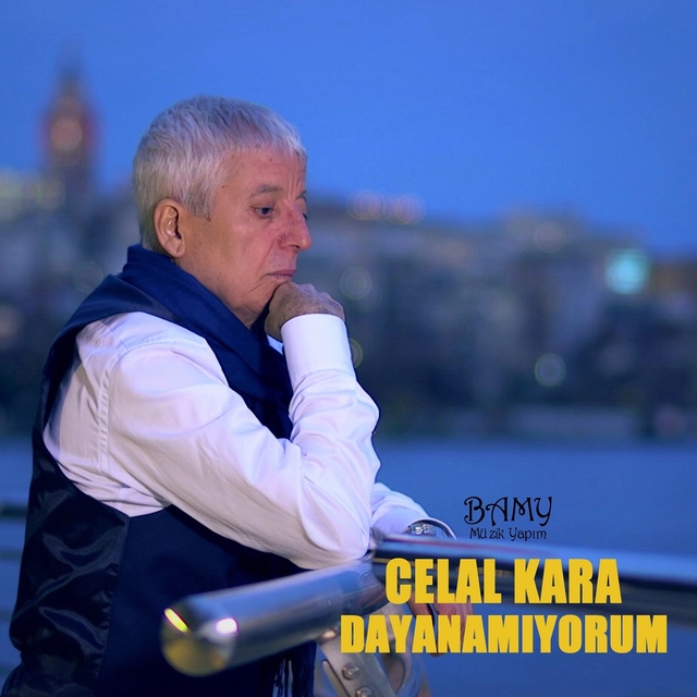 Couverture de Dayanamıyorum