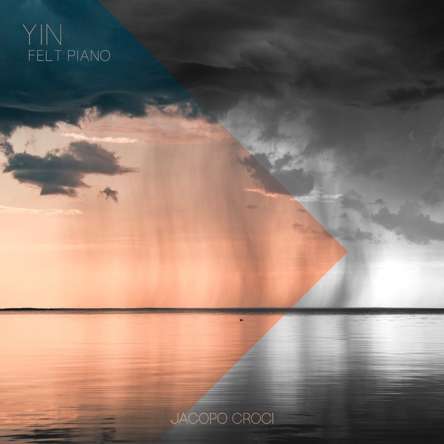 Couverture de Yin