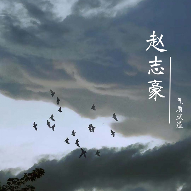 Couverture de 赵志豪