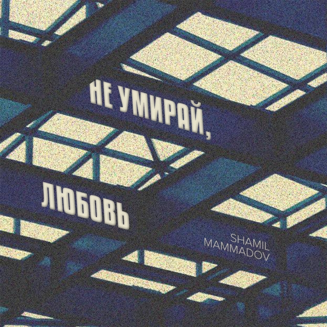 Couverture de Не умирай, любовь