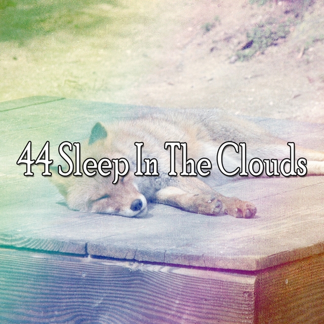 Couverture de 44 Sleep in the Clouds