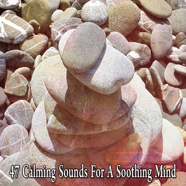 Couverture de 47 Calming Sounds for a Soothing Mind