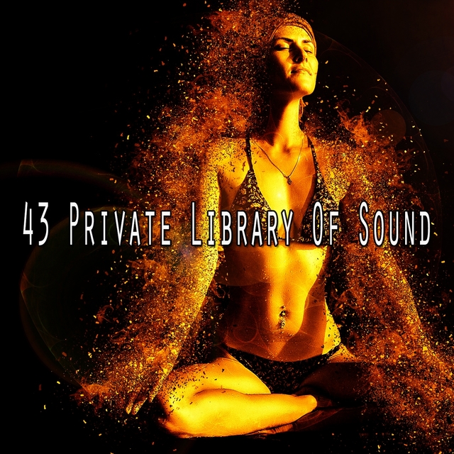 Couverture de 43 Private Library of Sound