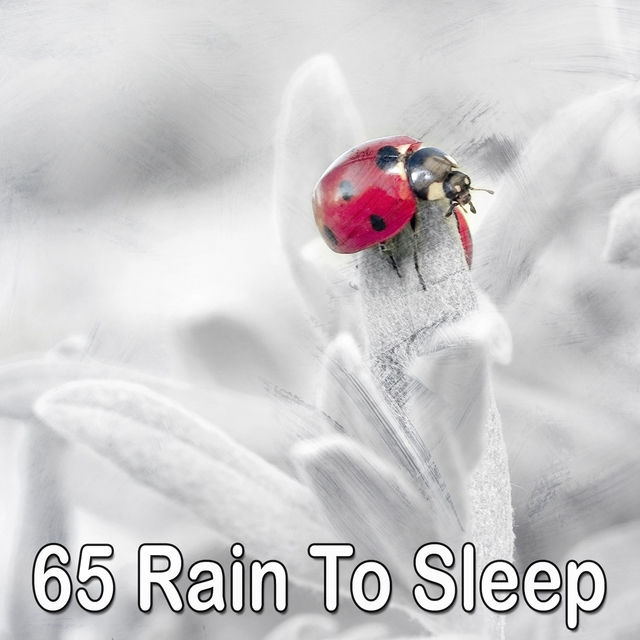 Couverture de 65 Rain to Sleep