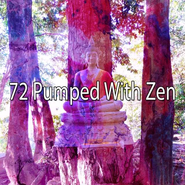 Couverture de 72 Pumped with Zen