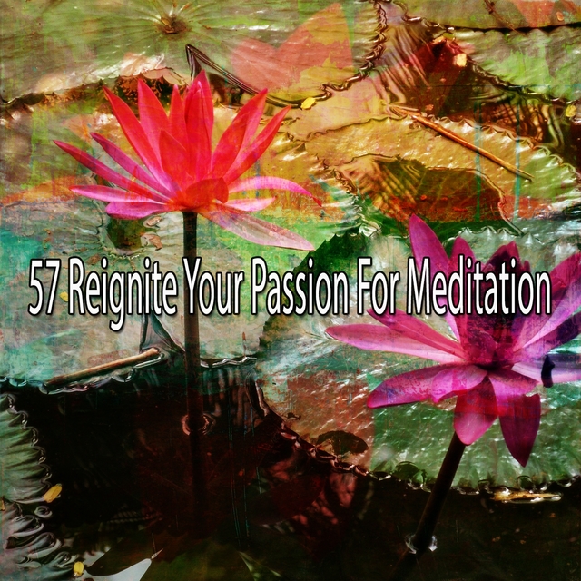 Couverture de 57 Reignite Your Passion for Meditation