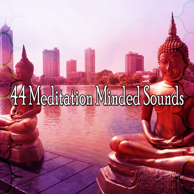 Couverture de 44 Meditation Minded Sounds