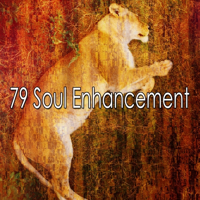 Couverture de 79 Soul Enhancement