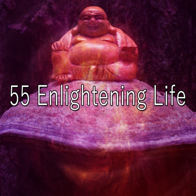 Couverture de 55 Enlightening Life