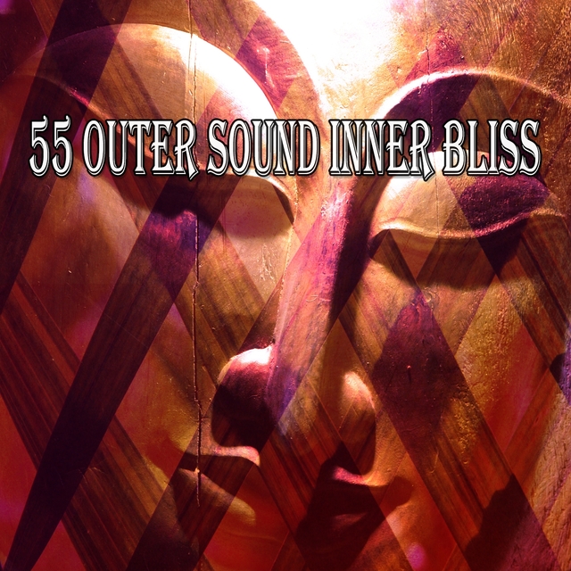 Couverture de 55 Outer Sound Inner Bliss