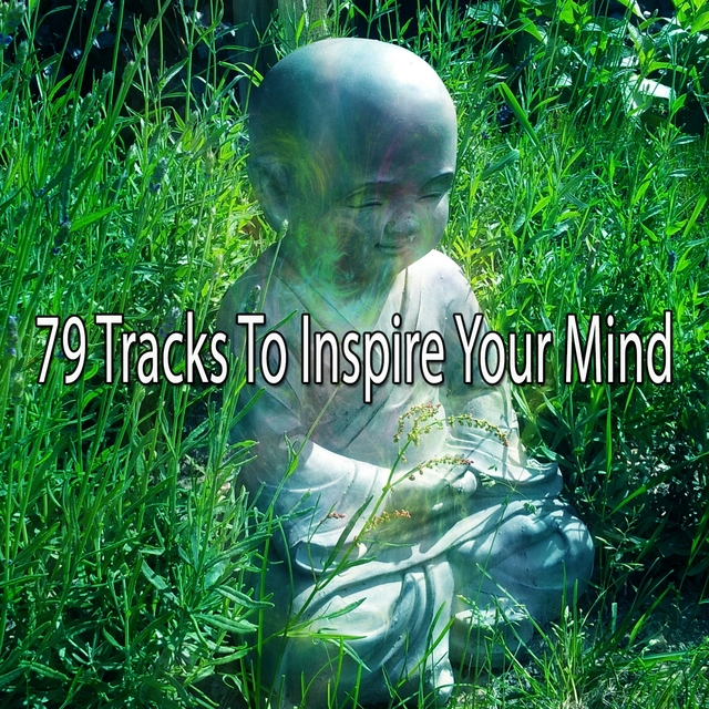 Couverture de 79 Tracks to Inspire Your Mind