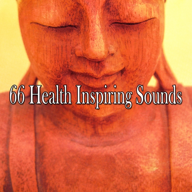 Couverture de 66 Health Inspiring Sounds