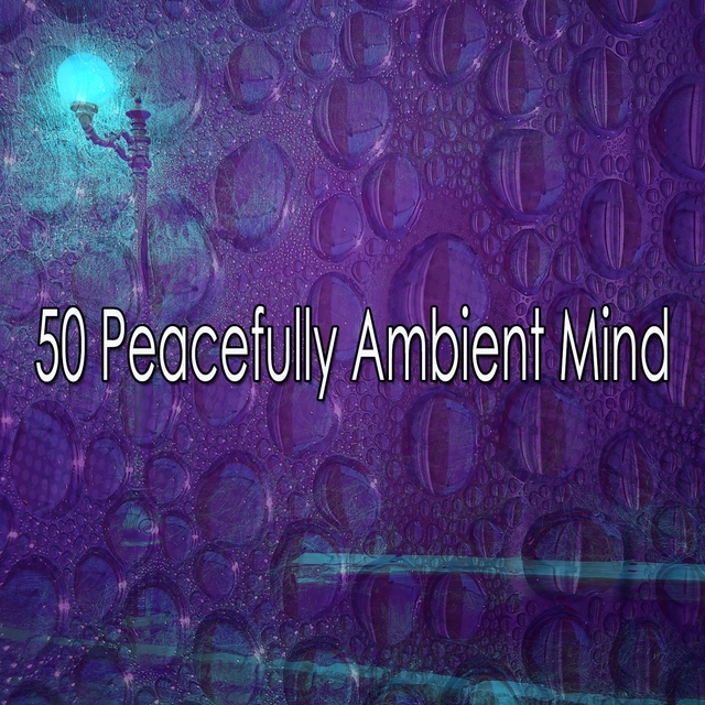 Couverture de 50 Peacefully Ambient Mind