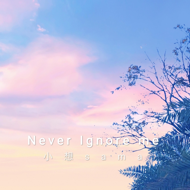 Couverture de Never Ignore Me