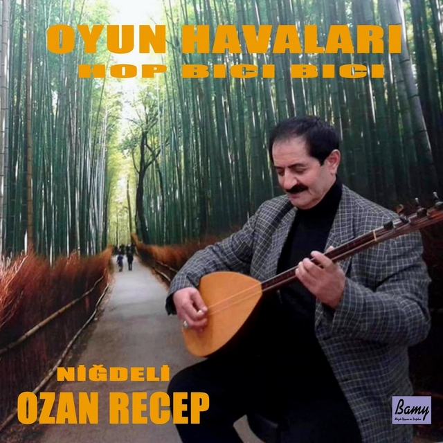 Couverture de Oyun Havaları