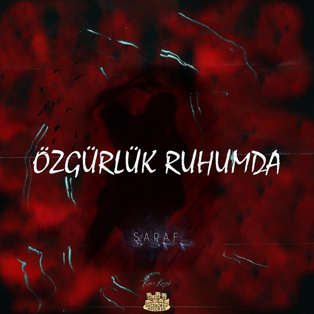 Couverture de Özgürlük Ruhumda