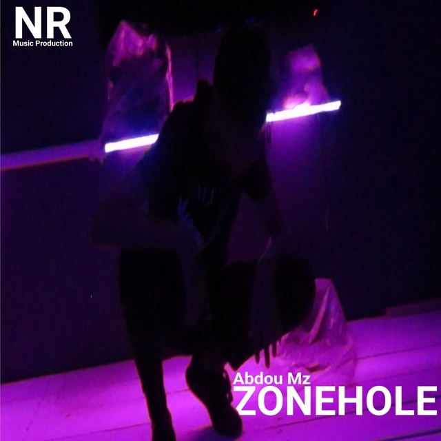 Couverture de Zonehole