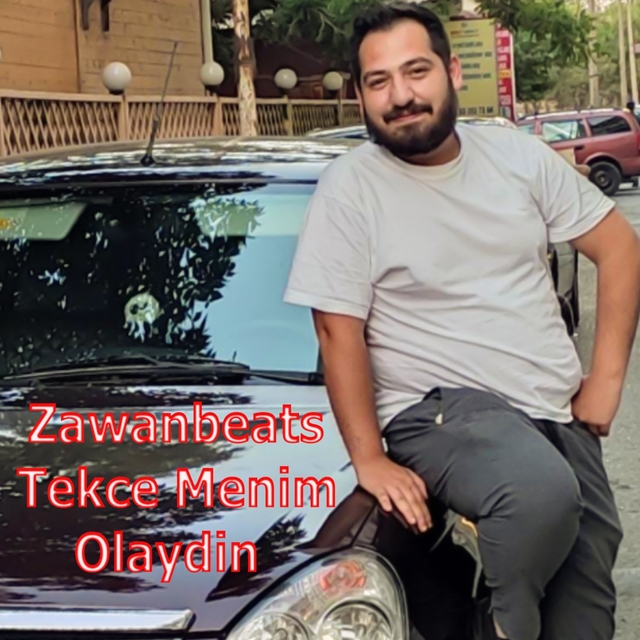 Tekce Menim Olaydin