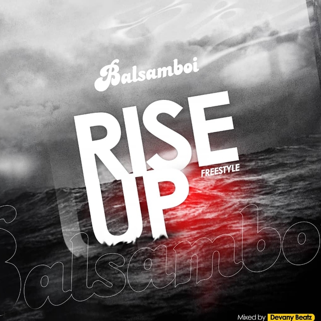 Couverture de Rise Up