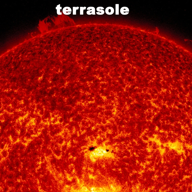 Couverture de Terrasole